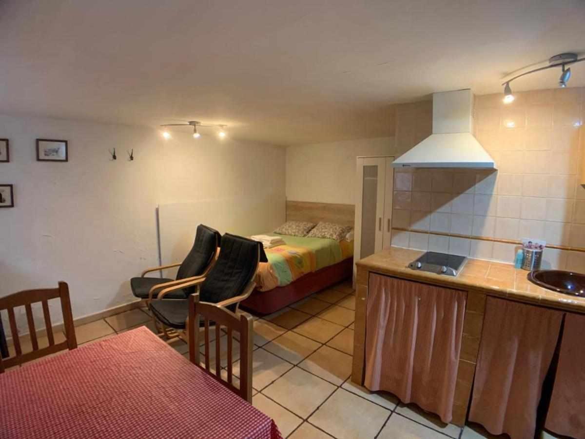 Otium Apartamentos Borda Siete Benasque Bagian luar foto